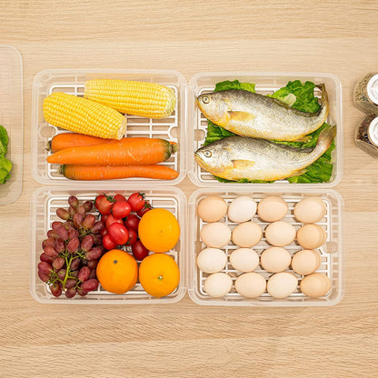 Fridge Master - 6 Storage Box with Free Knife & Lighter Combo Set