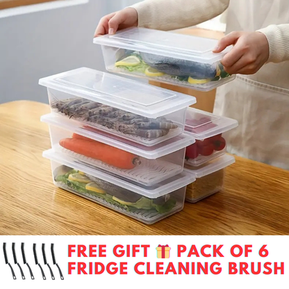 Fridge Organizer Box with Drain Plate (Premium Quality)