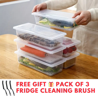 Fridge Organizer Box with Drain Plate (Premium Quality)