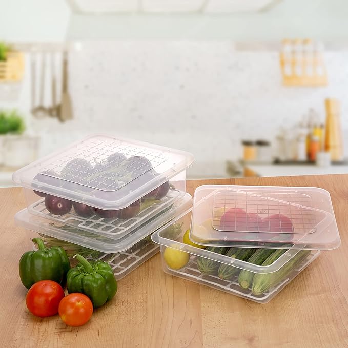 Fridge Master - 6 Storage Box with Free Knife & Lighter Combo Set