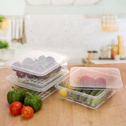 Fridge Master - 6 Storage Box with Free Knife & Lighter Combo Set