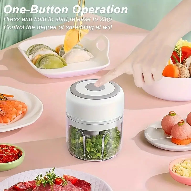 Portable Electric Vegetable chopper with USB (250ML)