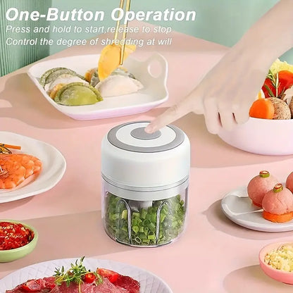 Portable Electric Vegetable chopper with USB (250ML)