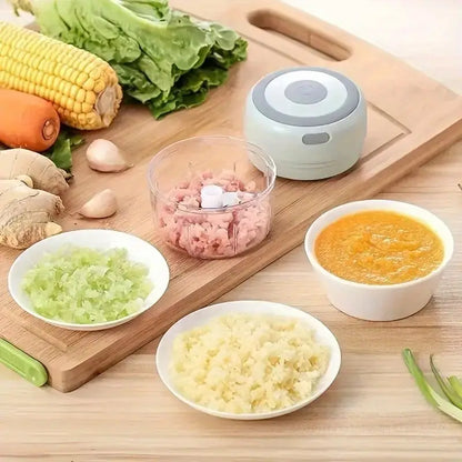 Portable Electric Vegetable chopper with USB (250ML)